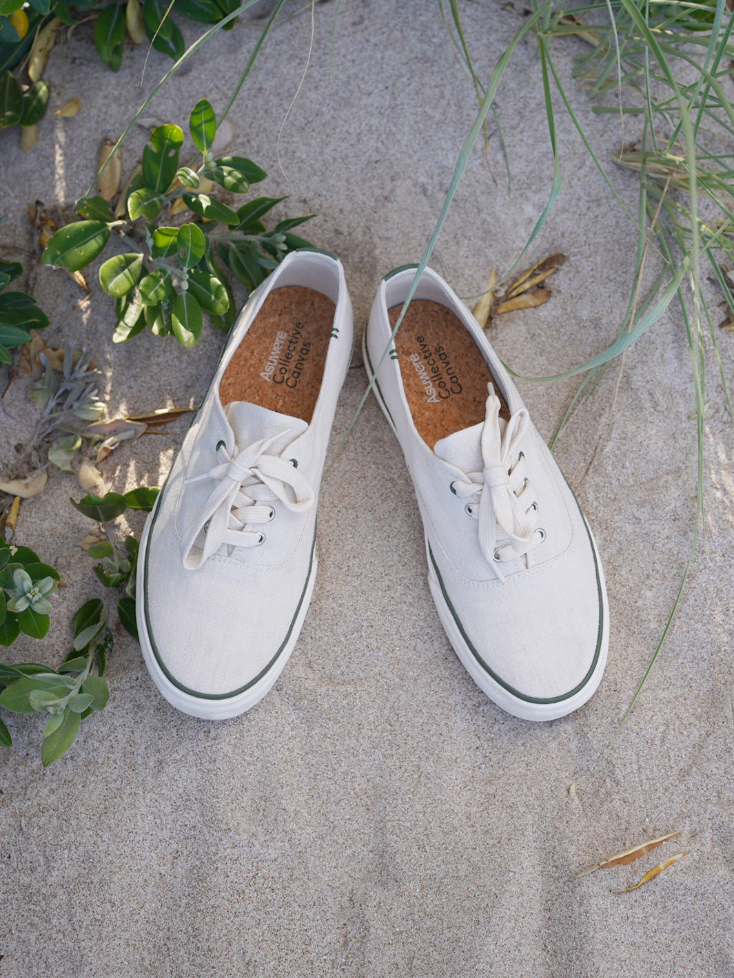 Collective Canvas x Asuwere Oxford Sneaker - Off White