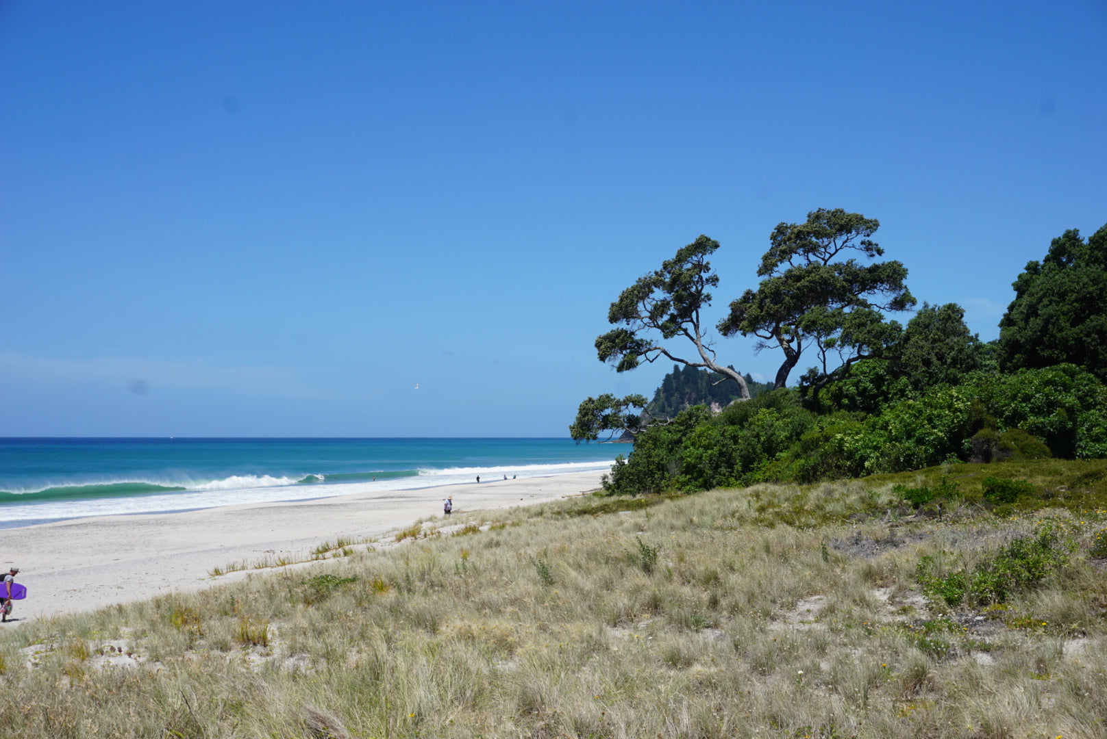 Simplifying life, Noah Hickey Journal Asuwere